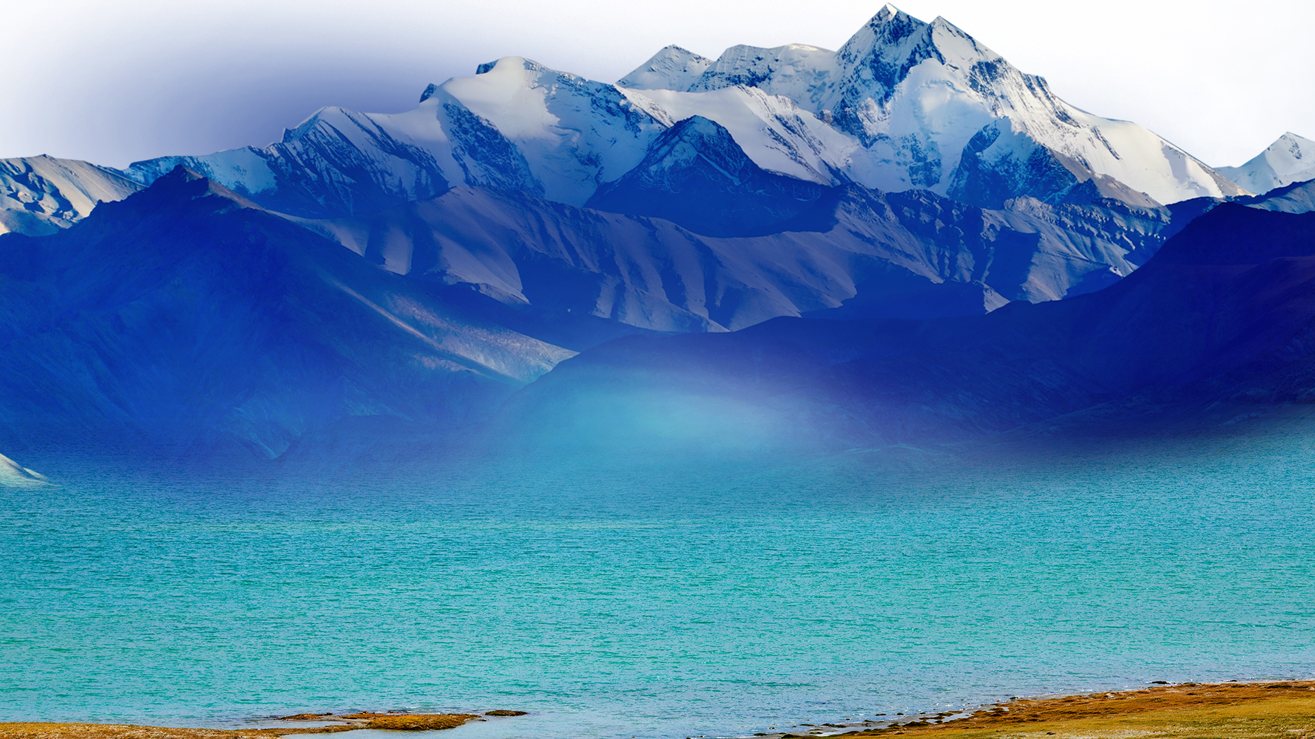 banner1.jpg